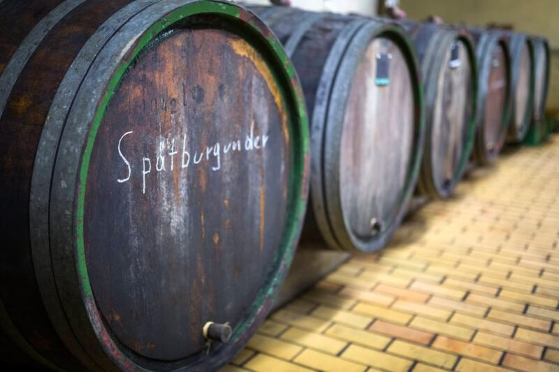Winetasting With Tour Through the Winery - Wine Tasting Experience
