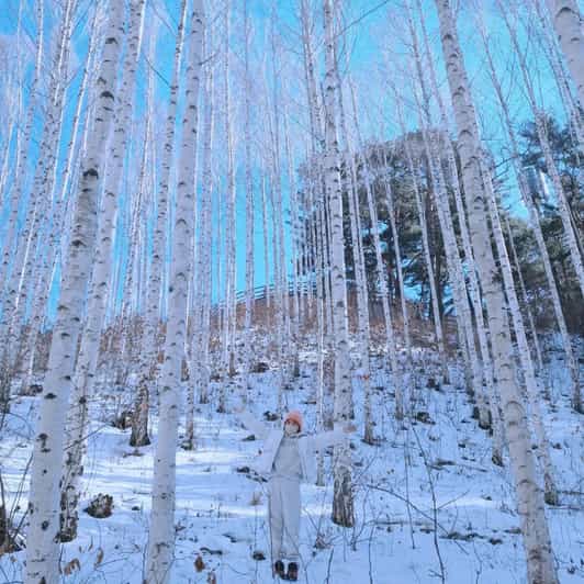 Wondae-ri Birch Forest and In-je Maebawi Icewall Day Tour - Preparation and Requirements
