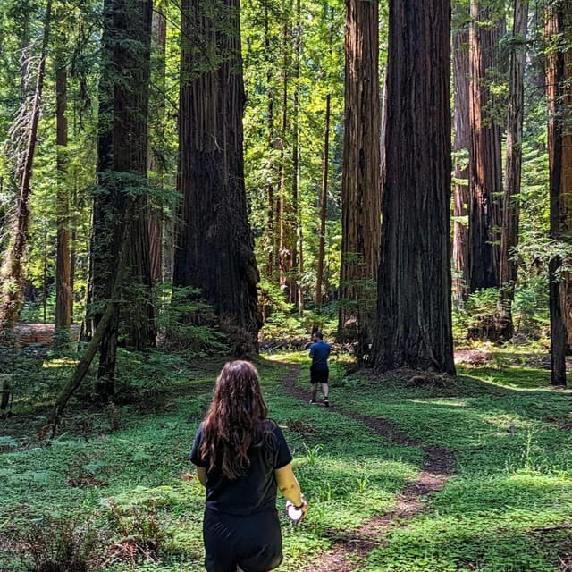 Wonder of the Redwoods - Prairie Creek State Park - Exploring the Redwood Forest