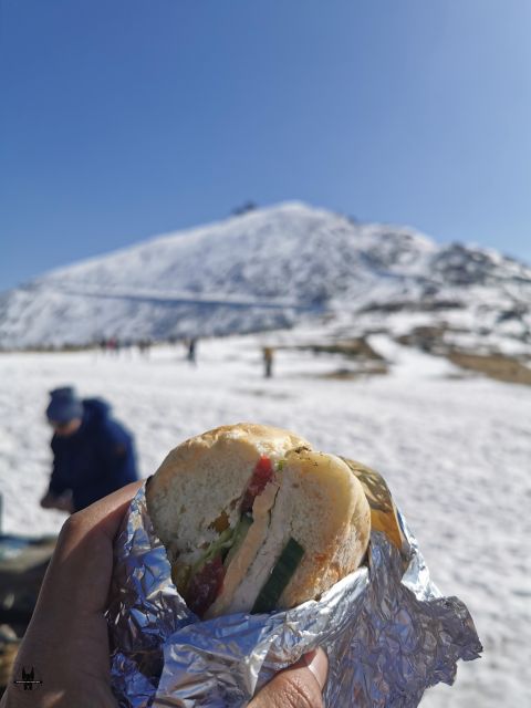 Wrocław to Karkonosze: Full Day Trip to Śnieżka - Hiking Experience