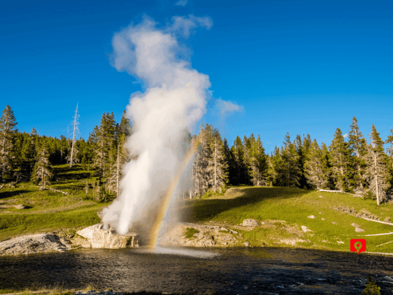Yellowstone National Park: Unforgettable Scenic Drive Tour - Important Information and Requirements