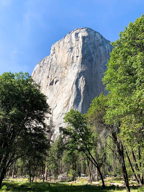 Yosemite Adventure: Full-Day Private Tour From San Francisco - Scenic Drive Experience