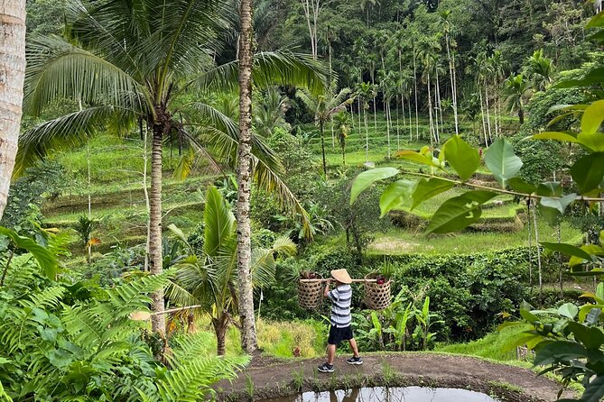 Your Balinese Journey, Crafted by Budi - Tegalalang Rice Terrace Highlights