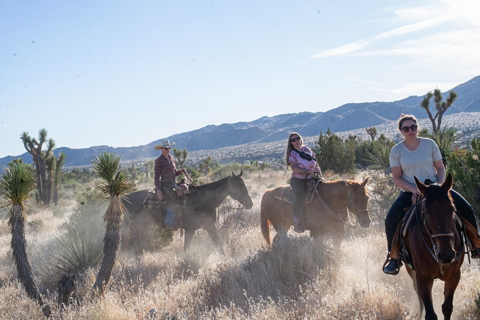 Yucca Valley: Joshua Tree National Park Horseback Ride - Itinerary