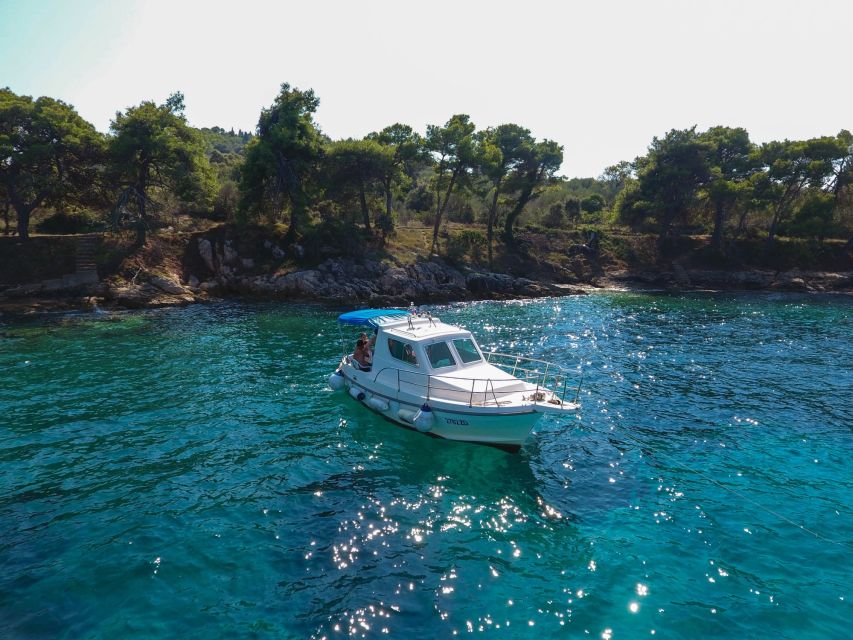 Zadar: Boat Tour With Snorkeling Gear and Drinks - Customer Reviews and Feedback