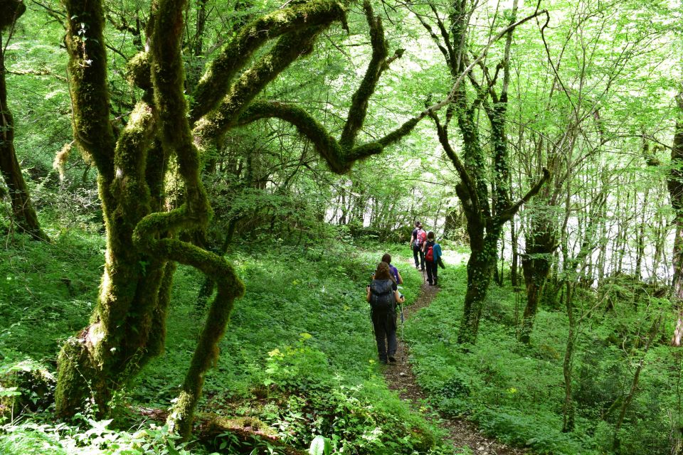 Zagori: Vikos Gorge Full-Day Guided Hike - Highlights and Experiences