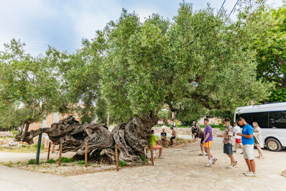 Zakinthos: Shipwreck Beach and Blue Caves Land and Sea Tour - Tour Experience