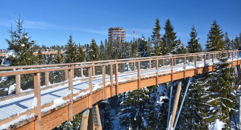 Zakopane: Bachledka Treetop Walk and Strbske Pleso Tour - Scenic Attractions