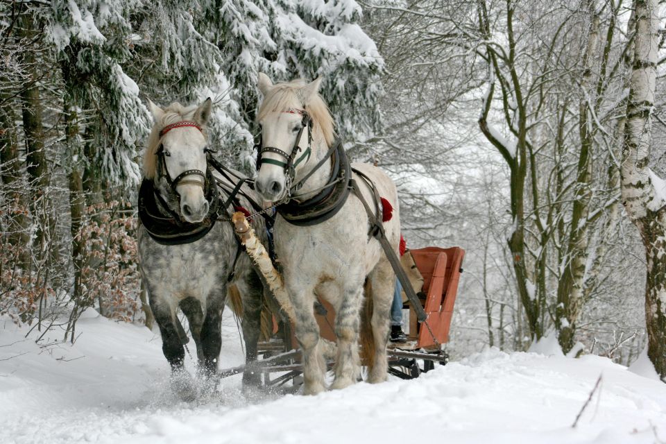 Zakopane: Horse-Drawn Rides With Local Guide & Food Tasting - Scenic Highlights