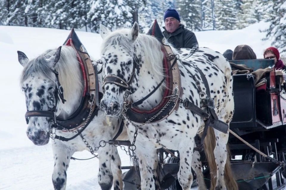 Zakopane: Sleigh Ride With Transfers and Lunch Option - Itinerary and Activities