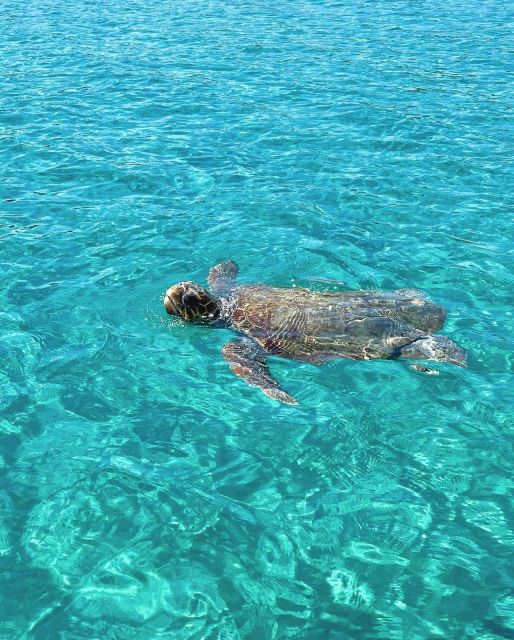 ZAKYNTHOS : Boat Rentals Without Captain ⭐️ - Itinerary Highlights