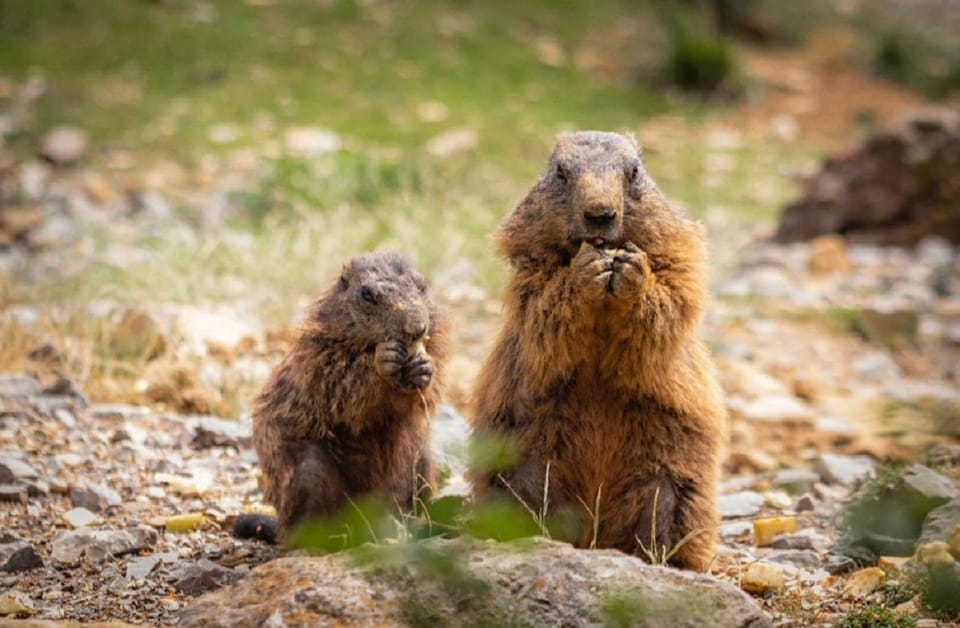 Zermatt: Hiking in the Unique Mountain World - Itinerary Highlights