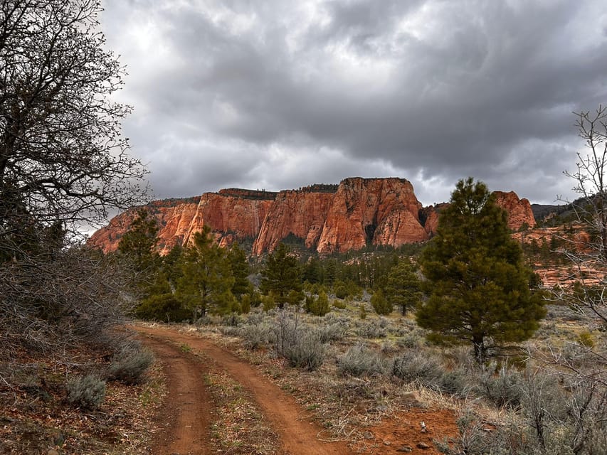 Zion National Park 5-hour Tour: Hike and Drive - Itinerary Breakdown