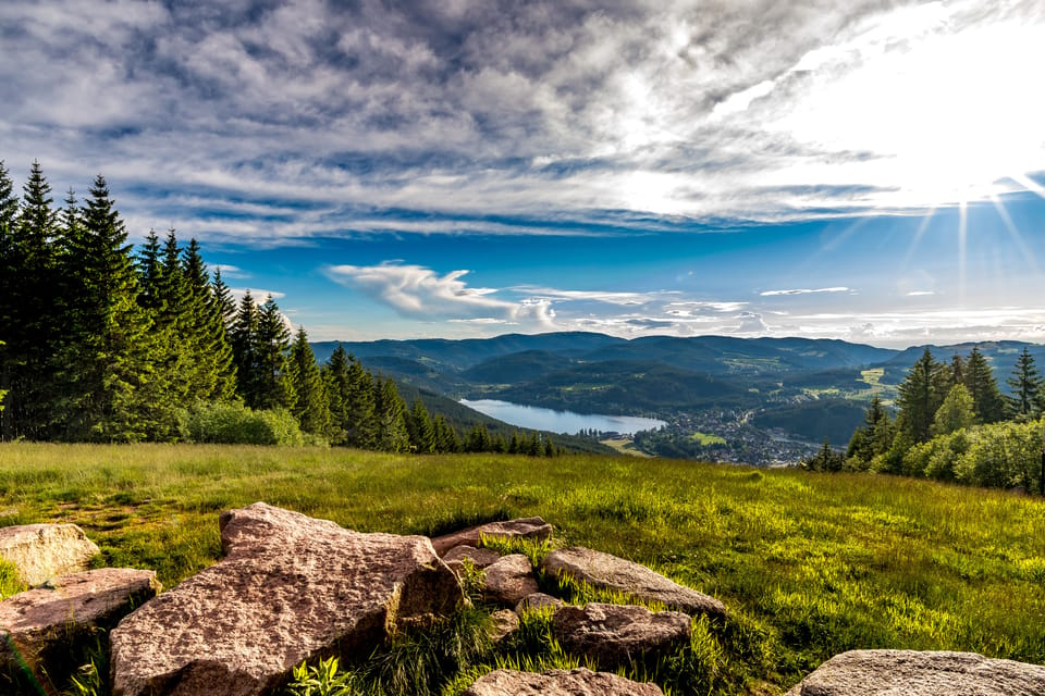 Zurich: Black Forest, Titisee, and Rhine Falls Bus Day Trip - Transportation and Meeting Point