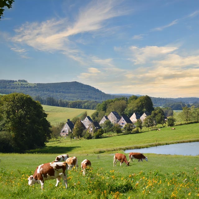 Zurich Private Tour to Liechtenstein and Heidiland - Exploring Vaduz