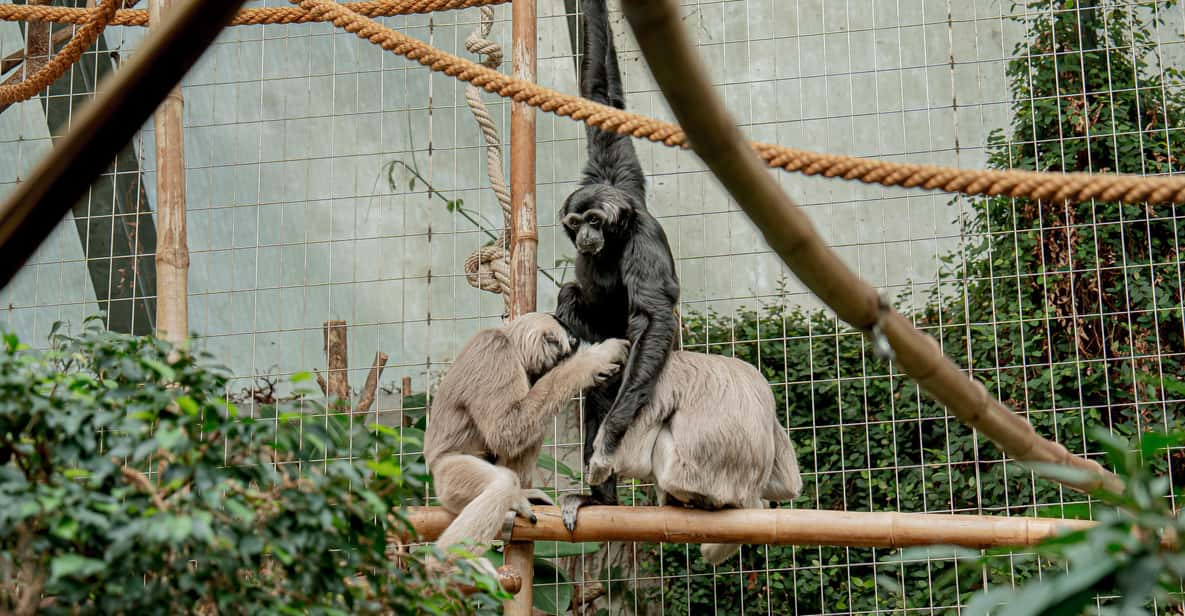 Zurich: Private Visiting and Photoshoot at Zoo Zurich! - Zoo Exploration