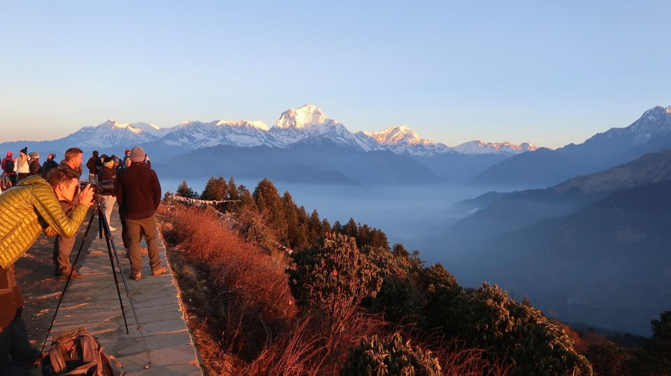 4 Day Poon Hill Trek From Pokhara - Trek Overview