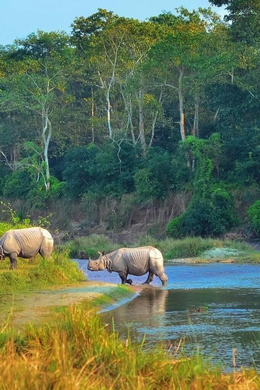 4-Day Private Chitwan National Park Safari Tour From Pokhara - Key Points