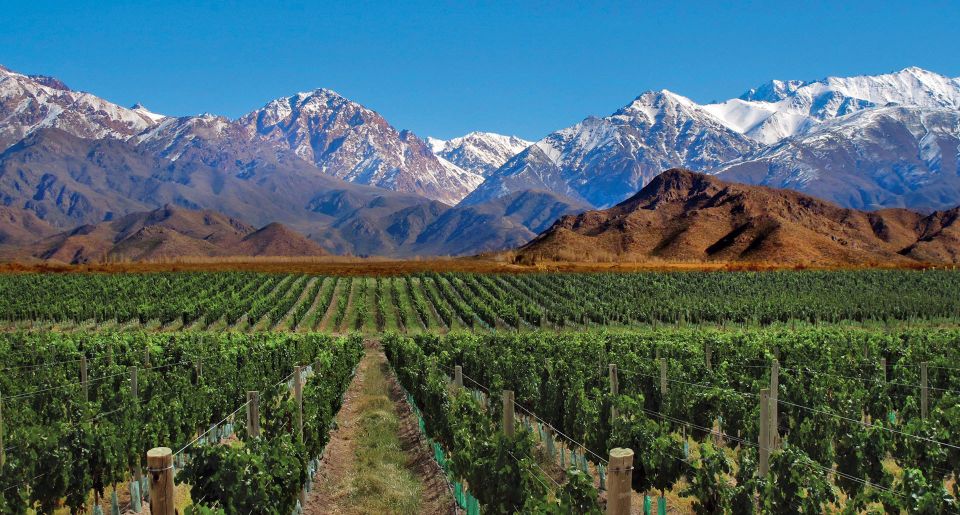 4 - Days Trip to Mendoza & The Andes - Key Points