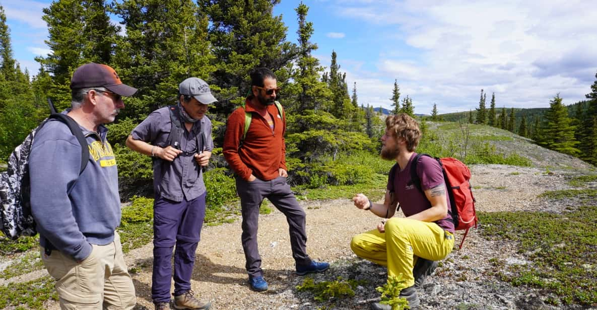 4 Hour Off-Trail Wilderness Wonders Tour in Denali - Key Points