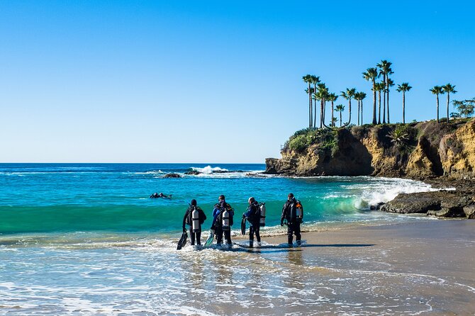 4 Hour Scuba Diving Course in Tayrona Park - Good To Know