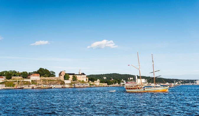 4 Hours Winter View of the Oslofjord Walk Tour - Good To Know