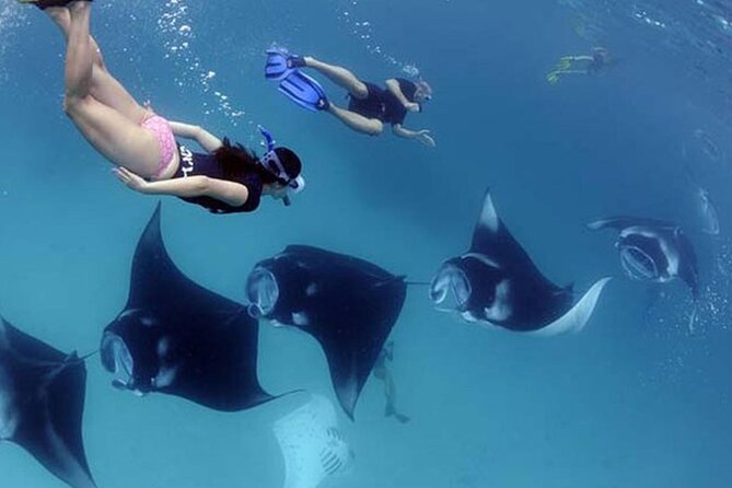 4 Spots Snorkeling Tour With Manta Rays in Nusa Penida - Snorkeling Locations