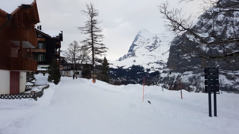 007 Elegance:Exclusive Private Tour to Schilthorn From Bern - Inclusions of the Tour