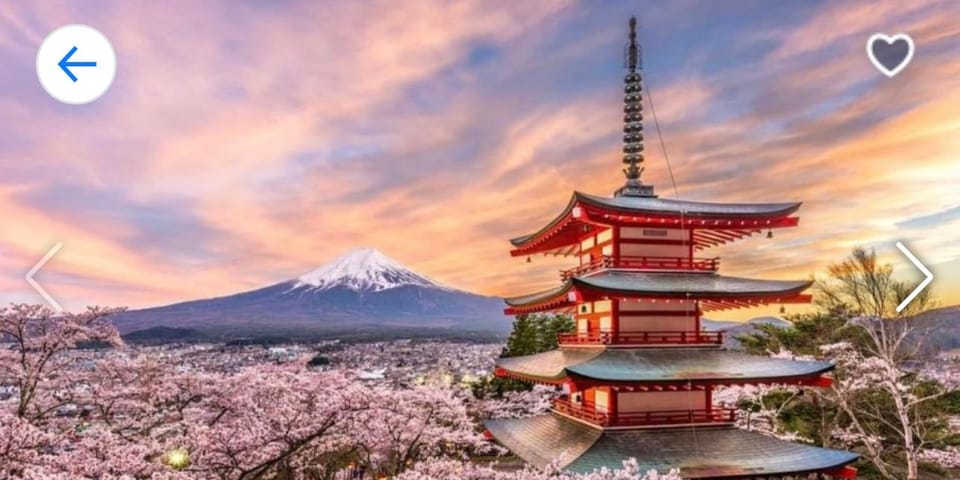 1 Day Mt Fuji Tour With Pick up and Drop off From Tokyo - Guided Experience