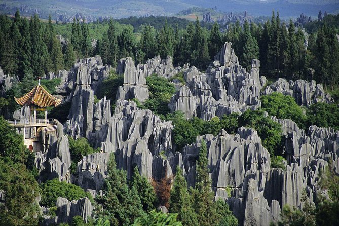 1 Day Stone Forest & Jiuxiang Cave Tour - Itinerary and Schedule