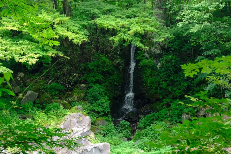 1 Day Tour: Explore Nikko's World Heritage and National Park - Meeting Point and Directions