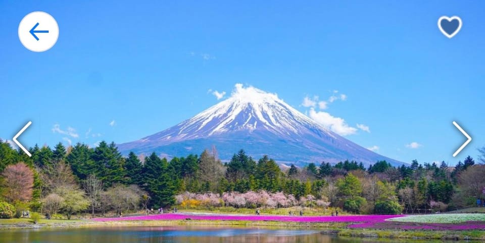 1-Day Trip: Hakone Area + Gotemba Premium Outlets - Inclusions and Exclusions