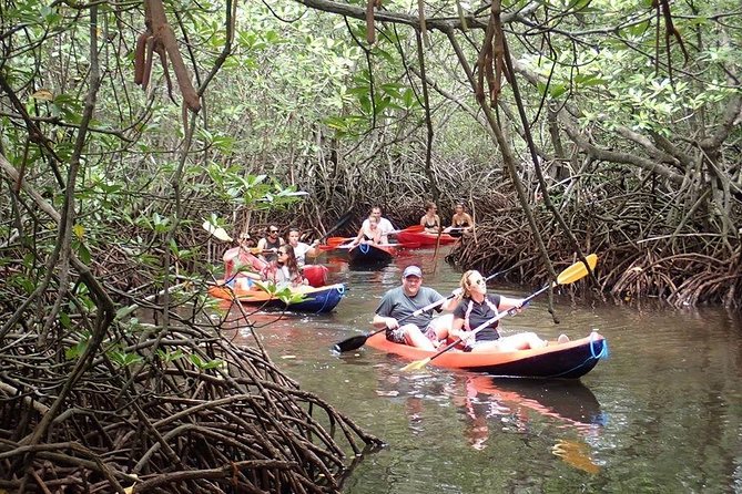 1 Hour Mangrove Tour From Lembongan With Kayak, Paddle, or Boat - What to Bring