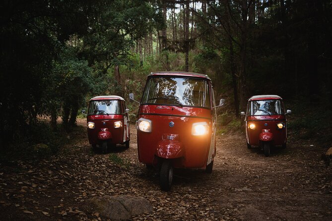 1 Hour Private Tuk-Tuk Tour in Sintra - Meeting and Pickup Details