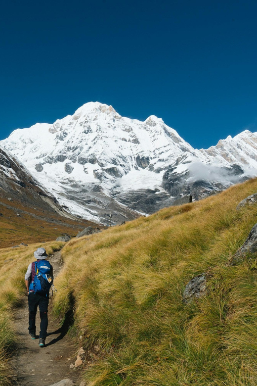 12 Day-Luxury Annapurna Base Camp Trek With Domestic Flight - Local Culture and Community