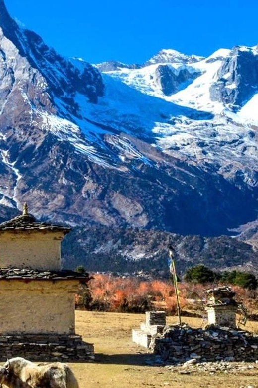 15-Day Muktinath Temple Trek - Included Services