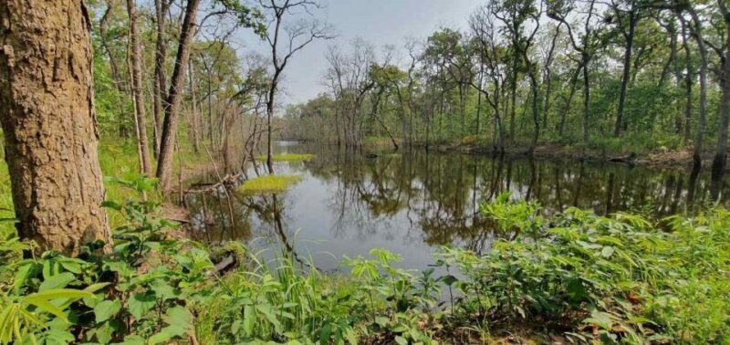 2 Day Tour in Chitwan - Frequently Asked Questions