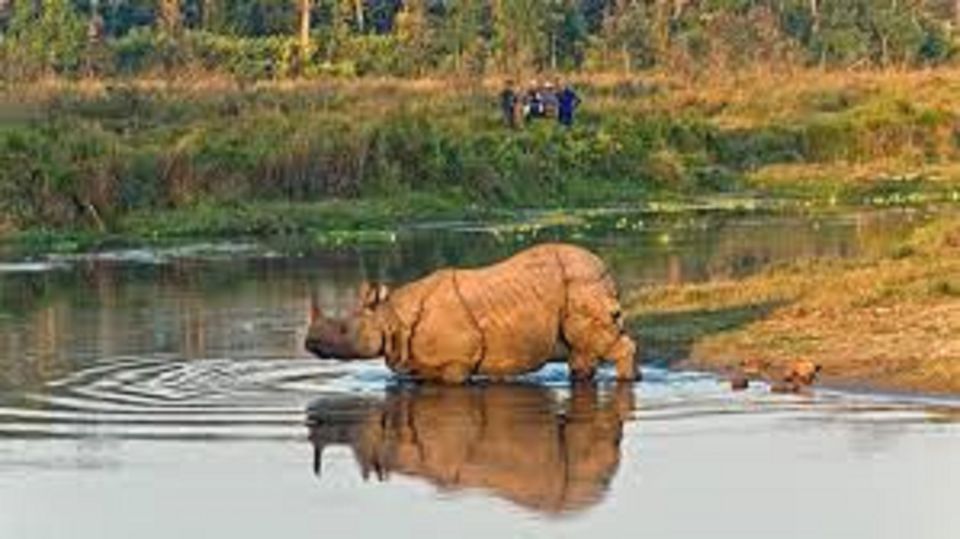 2 N 3 Days Chitwan Tour Package From Pokhara or Kathmandu - Inclusions of the Package