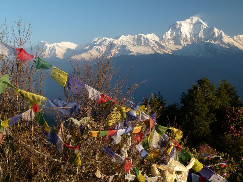 2 Night Ghorepani Poon Hill Trek From Pokhara - Day 3 Highlights