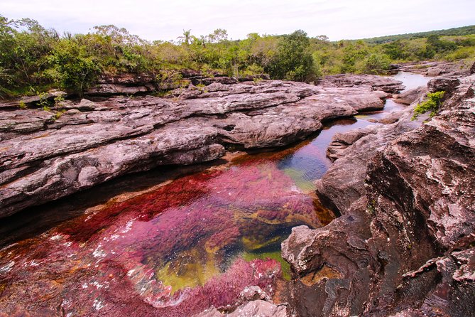 3-Day Trip to Caño Cristales From Bogota - Traveler Reviews