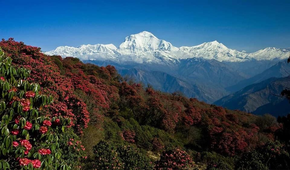 3 Days Ghorepani Poonhill Treks From Pokhara - Accommodations Along the Route