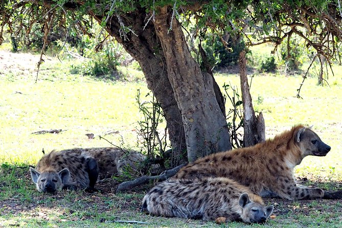 3 Days Masai Mara Camping Safari - Exclusions