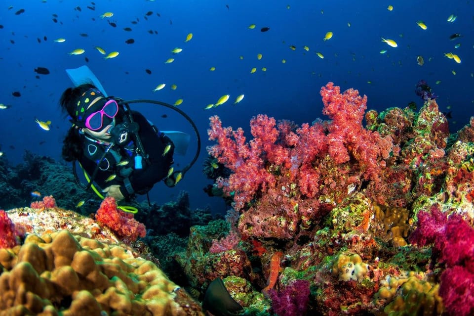 3 Fun Dives for Certified: Phi Phi Islands and Shark Point - Scuba Diving Equipment