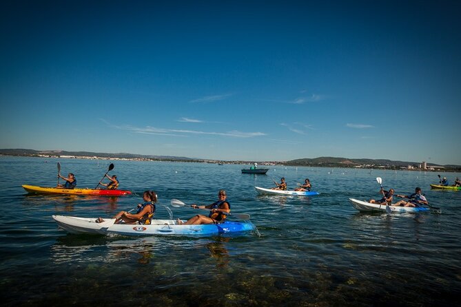 3 Hour Sea Kayak Trip in the Canals of Sete - Positive Guest Feedback