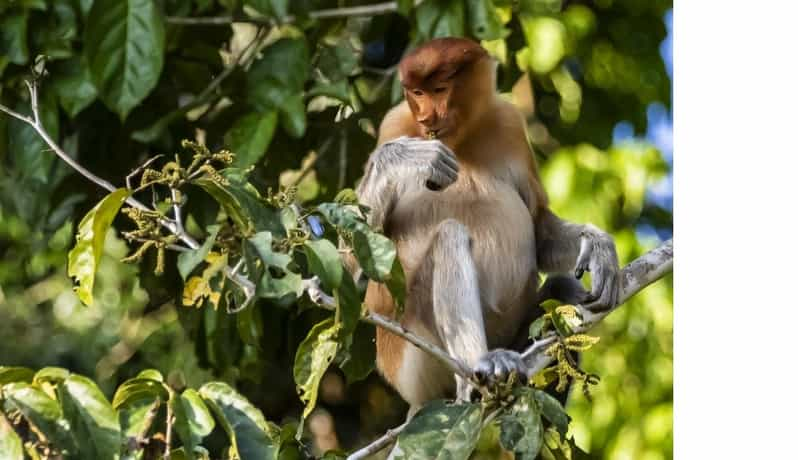 3D2N Borneo Natural Sukau Bilit Resort - What to Bring