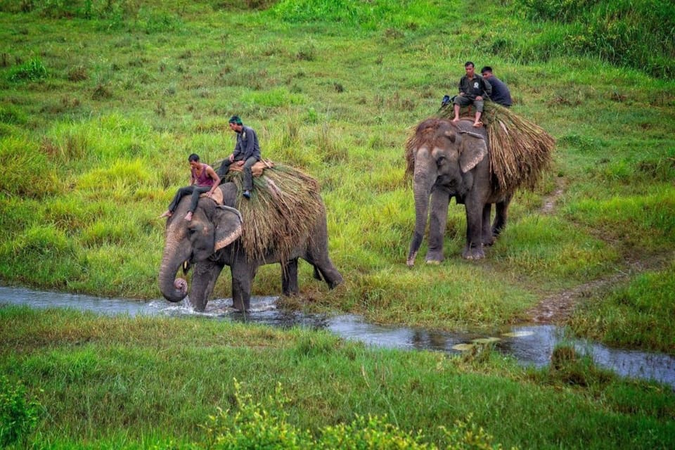 3D2N Chitwan Cultural Heritage Tour From Kathmandu - Day 2 Activities