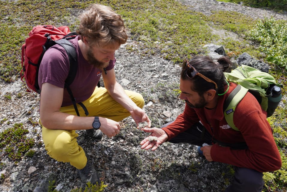 4 Hour Off-Trail Wilderness Wonders Tour in Denali - Important Information