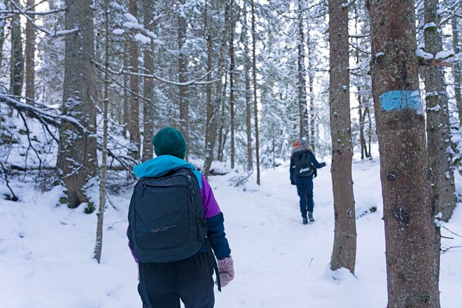 4 Hours Winter View of the Oslofjord Walk Tour - Ostmarka