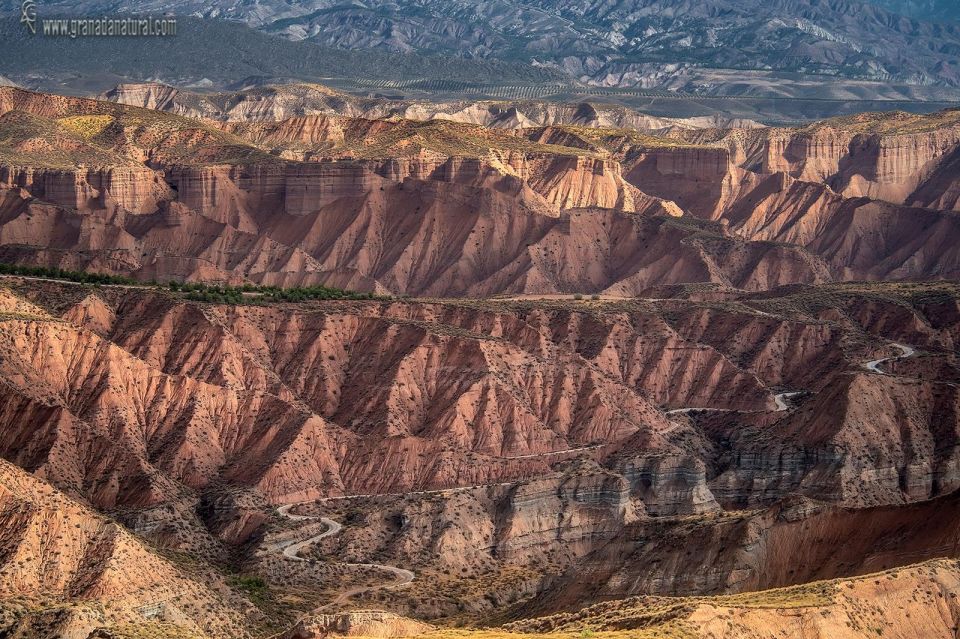 4x4 Los Coloraos Full Day Desert Tour Gorafe - Reservation and Payment