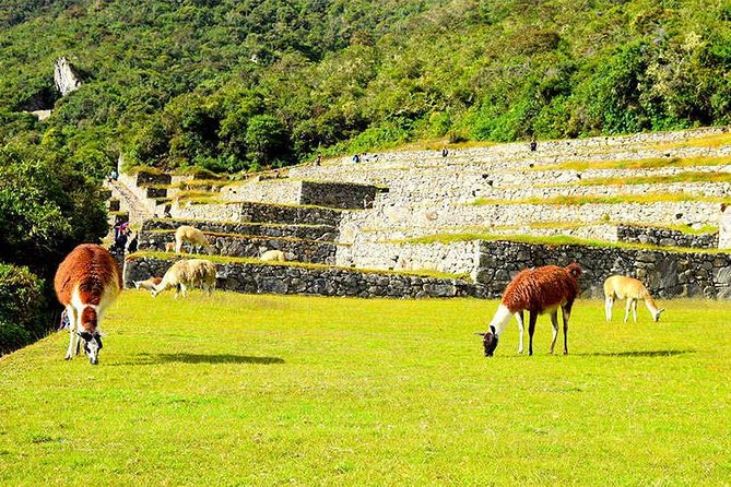 5-Day Private Inca Trail Tour to Machu Picchu - Accessibility Information